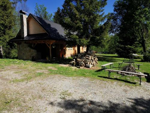 Beskid-85