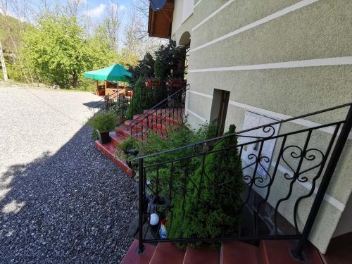 Beskid-91