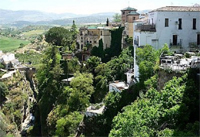 palmaras-08