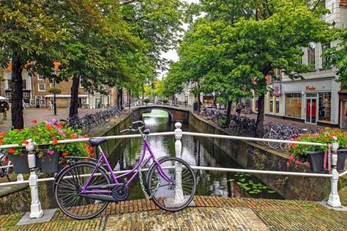 delft4